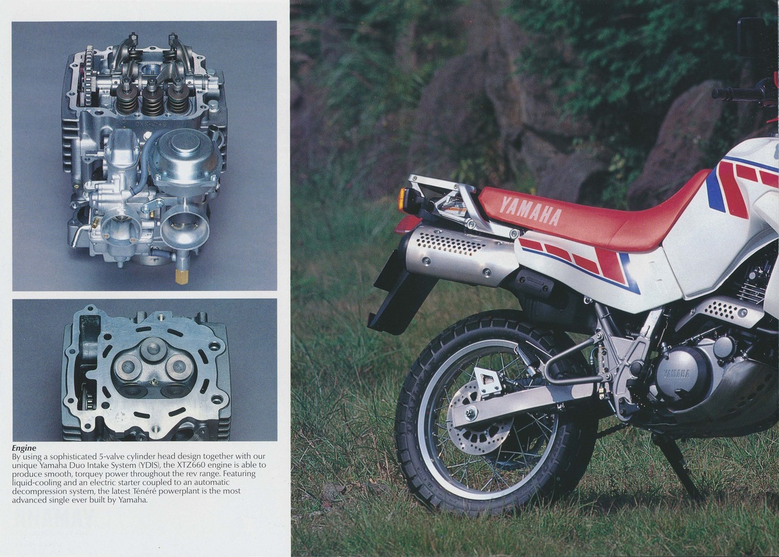 馬 ウマ娘230枚 62。 ゼクストワークス -ZextWorks-